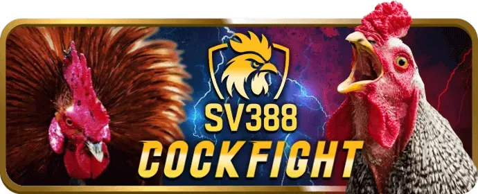 Cá cược thể thao 9vnd